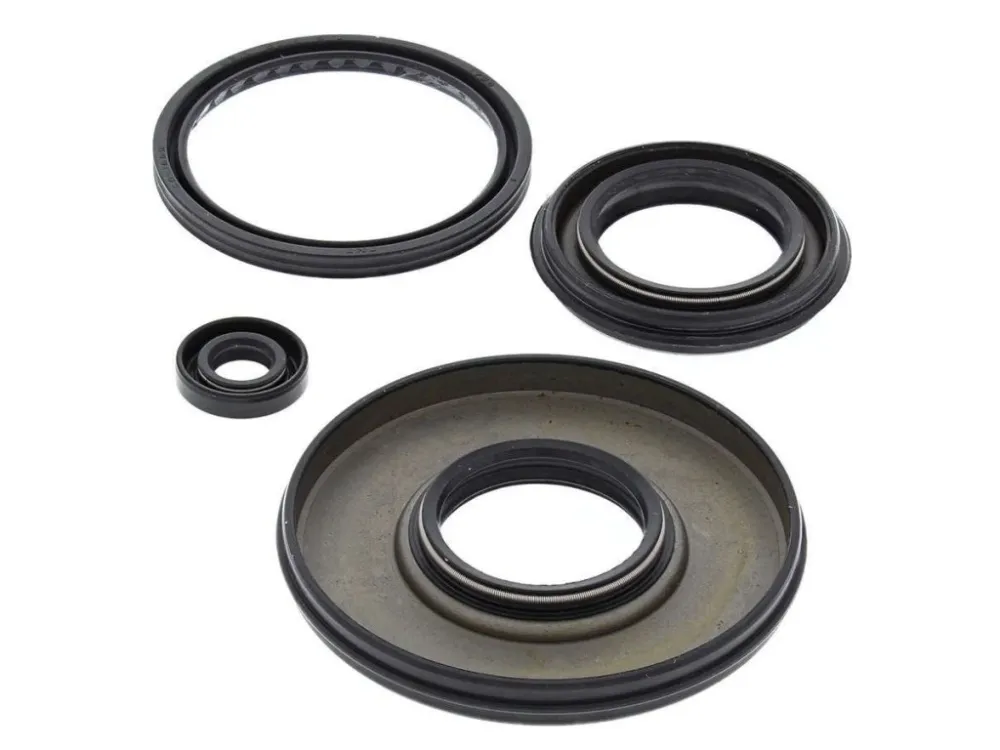 Časově Omezené Winderosa sada gufer motoru Yamaha Phazer PZ480 84-90, Phazer SE 480 84-89