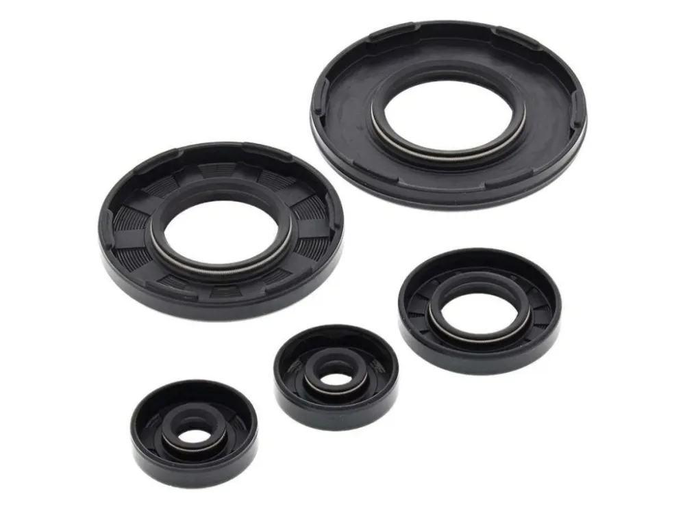Vrácení Zdarma Winderosa sada gufer motoru Ski-Doo Formula Deluxe 583 98-99, Formula Grand Touring/XTC/SE